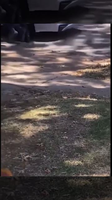 #США  А что, так можно было?