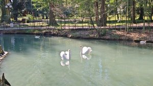 Сочи. Дендрарий.