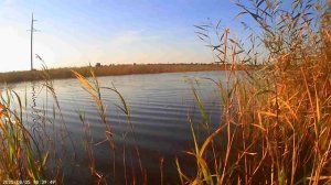 красота на озере