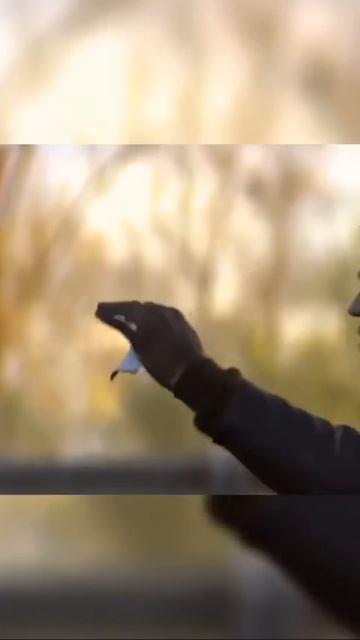 🎬Удивительные истории