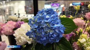 Вести-Томск, выпуск от 07.03.2026 14:30