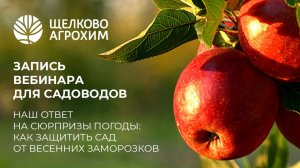 Наш ответ на сюрпризы погоды. Как защитить сад от весенних заморозков