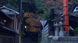 Киото 2025. Путешествие в Японию.