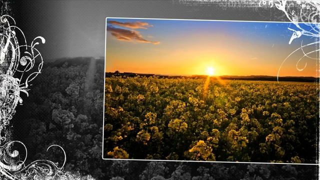 Yan Leschenko - Летать как птицы