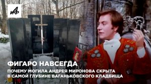 Фигаро навсегда. Почему могила Андрея Миронова скрыта в самой глубине Ваганьковского кладбища