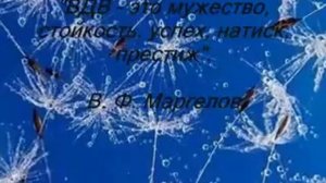 "Одуванчики". Всем ребятам ВДВ посвящается.
