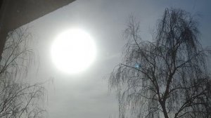 дарите женщинам цветы...