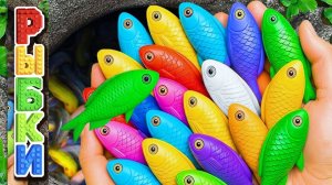 Мультики для детей и малышей про водных обитателей. Ловим и рассматриваем рыбок и жителей водоема