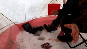 На новом снегоходе на Емуртле!