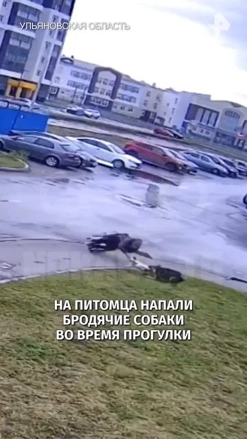 Хорошо что все остались живы