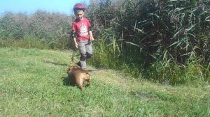 140 2019.08.31._11.10.36 Маня попила из прудика.