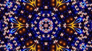 Видеофоны! Видеофон Фантастические букеты роз 2 от Киностудии Мудрого Кота Тимофея!