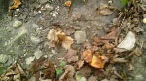 153 2019.10.28_13.17.15