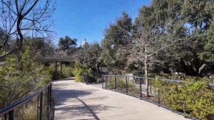 Даунтаун Остина 2026 прогулка по самому живому центру Техаса 🌆