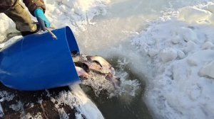 Запуск 10 Марта