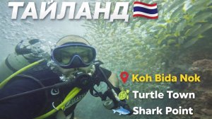 Подводный мир Таиланда 🇹🇭 | Koh Bida Nok, Turtle Town, Shark Point