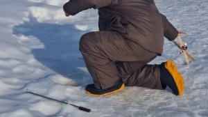 сёмкина 2 в комаровке