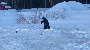 Поимки форели