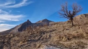 241ч.Строим надежду: путешествие Марьям и ее детей к зимнему приюту с доброй рукой помощи