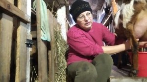 10-03-2026 Ходила на ветучасток / козы / хозяйство / деревенская жизнь.