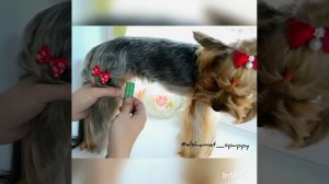 722A53AA-A295-4804-B259-53A616F6CA86