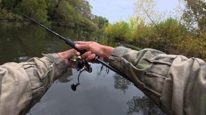 Снова чудо воблер делает всю рыбалку, собирает зубастых красавиц по всей реке. Рыбалка на спиннинг.