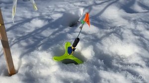 Моменты поимок