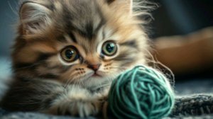 делаю сборник ОГЭ и болтаем