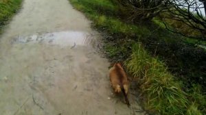 155 2019.11.10_13.28.54 Маня у Лебедянского пруда.