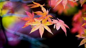 Напишите эту цифру 10 марта и запустите великое обнуление.