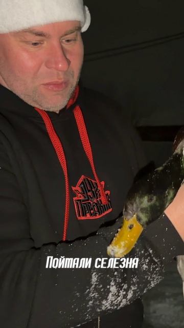 Селезень у дома! #ВладимирКалюжный #охота #селезень #затрофеямисвв