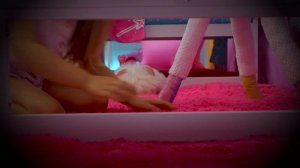 Toy Animal Adventure with Nastya and Friends