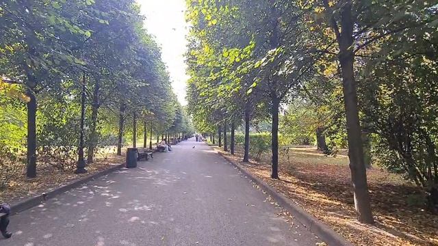 Парк Горького. м Октябрьская или м Парк Культуры.