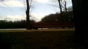 121 2019.04.06_12.30.15 Маня идёт между прудиков.