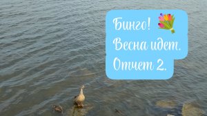 Бинго! Весна идет. Отчет 2. Вязальная активность 🧶