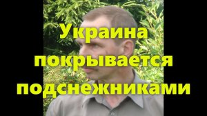 Последние реальные события на Украине сегодня. Про Украину на реальных событиях.