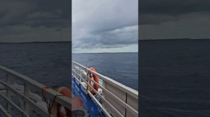 Путешествие длинною в год. День 35й. Филлипины. Ныряние с китовыми акулами в Ослобе.