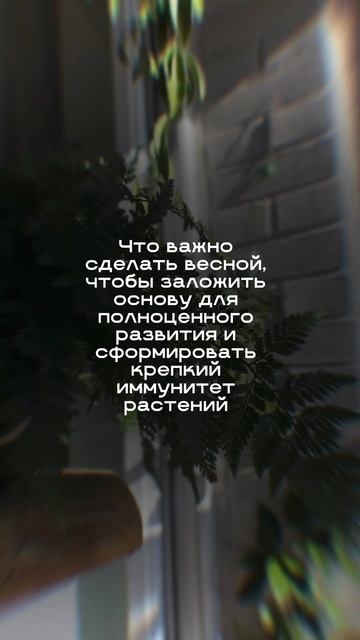 Весна — то время, когда нужно позаботиться о растениях особенно.