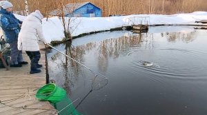 Ловля форели на 1-м Вип РК "Фишка Петряиха"