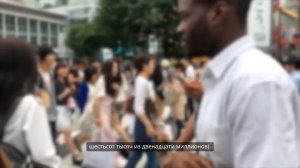 Алиева призывают поднять диаспоры на бунт против России. Реальность или дешевая пропаганда