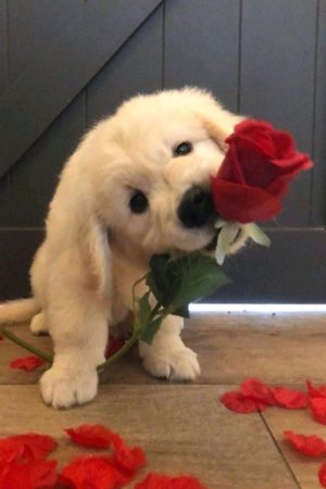 можно спать с игрушками в 10 лет или нельзя?