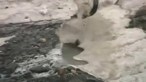 В горах Домбая часть 2