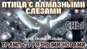 ПТИЦА С АЛМАЗНЫМИ СЛЕЗАМИ. ТРАМП С ГРЯЗНЫМИ НОГАМИ. СНЫ И ТОЛКОВАНИЯ. Лидия, Оксана, Тэхилия