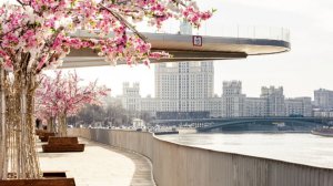 Богослужение Новоапостольской Церкви, г. Москва, 15.03.2026, 10:00 мск