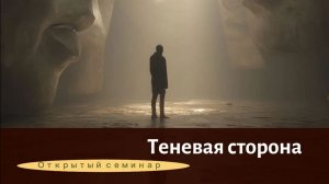 Встреча "Теневая сторона". Теория и практика.