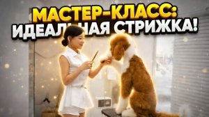 Корейский Мастер Превращает Огромного Лохматого Монстра в Королевского Пуделя! Полный Процесс 2025