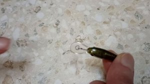 Видеообзор воблера Strike Pro Deep UL Rider от Сибирской Рыбачки