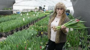 Где зимует весна? Секретная теплица с миллионом цветов к 8 марта