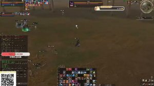 Lineage 2 - Игра которая не трепет нервы)