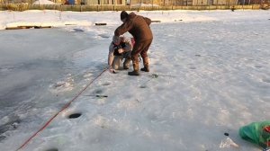 VID_20260310_191859_539